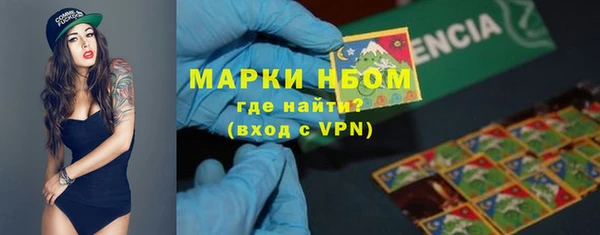 дурь Гусев